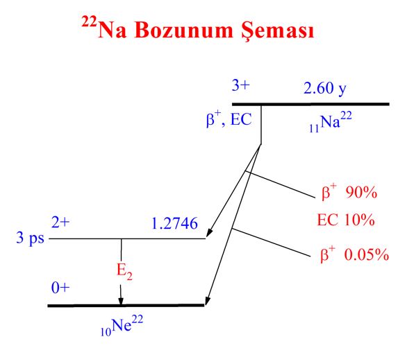 Bozunum Şeması Na22.JPG (26 KB)