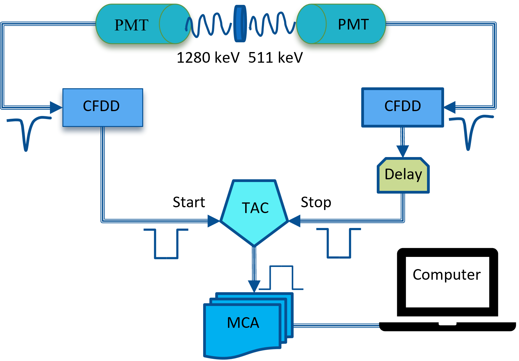PALS System.png (105 KB)